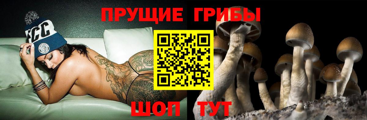 Галлюциногенные грибы Psilocybe  Вход с VPN  как найти наркотики  Луга 